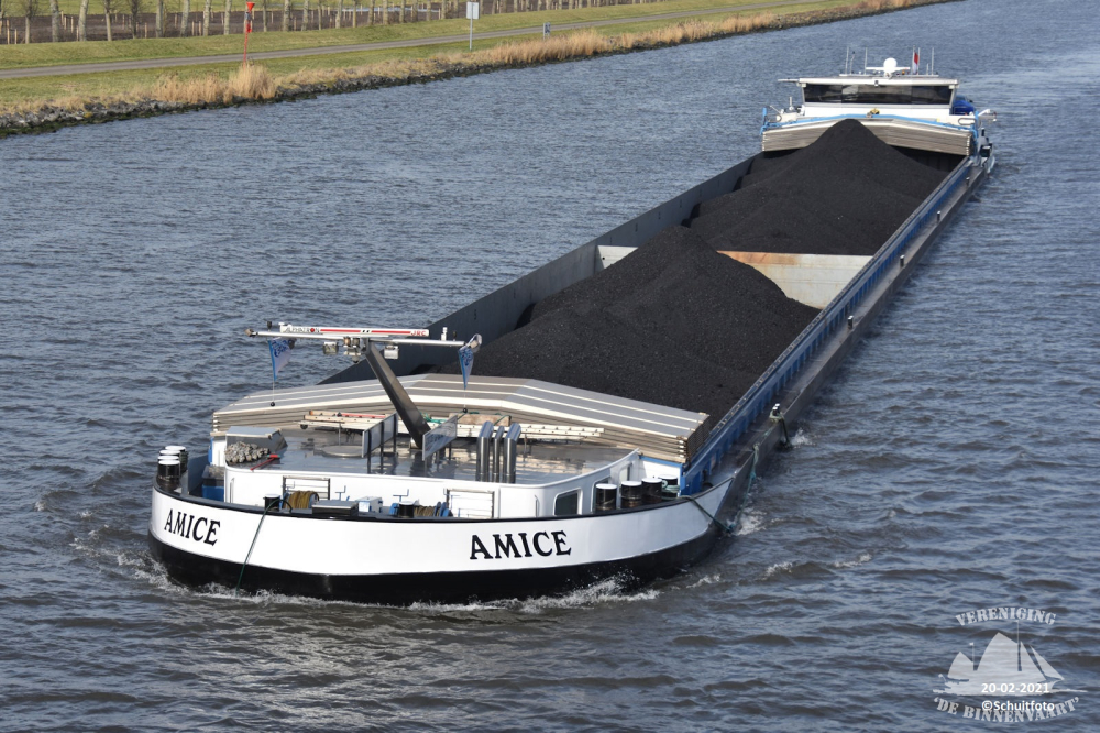 Amice